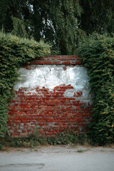 Red and white old brick wall with green hedge, summer day, copy space, background, texture
