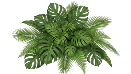 Tropical green palm leaf and tree branches isolated on white for a natural summer beach vector background