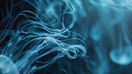 Fototapeta premium Jellyfish swim gracefully in dark water their long tentacles moving softly. The surroundings are illuminated in shades of blue capturing the underwater scene.