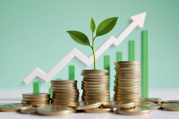 Concept of Indian economic growth and budget. Rupee coins and rising graph visualization.