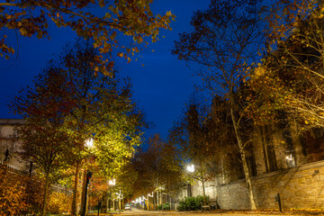 Historic Ivy League Campus Street at Night with Autumn Trees