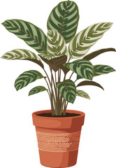 Potted foliage plant illustration, variegated leaves, terracotta pot design, tropical houseplant, vector art, indoor greenery, decorative botanical sketch