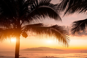 Silhouette palm trees silhouetted against the orange sky at sunset
