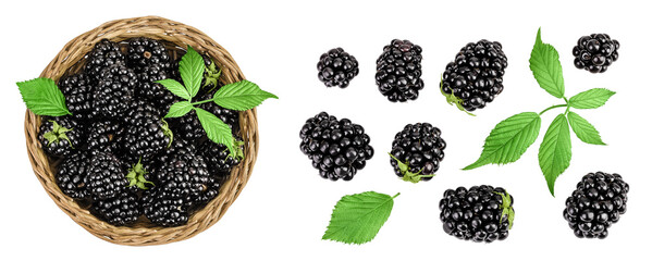 blackberry with leaf in in a wicker basket isolated on a white background. Top view. Flat lay