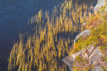By the Veltfiskelausen Lake of the Toten&aring;sen Hills in fall.