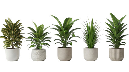 Serene Green Collection: An array of vibrant, potted houseplants, showcasing nature's beauty and bringing a touch of the outdoors into any space.