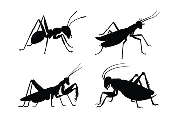 Silhouettes of four different insects on a white background