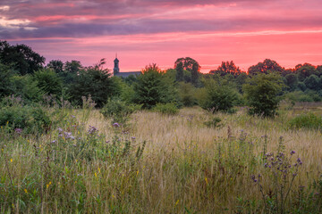 Sunset Over Natural Meadow Landscape. High quality photo. Colorful sunset sky over a wild meadow with tall grasses and scattered shrubs. A church steeple visible in the distance surrounded by lush tre