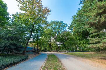 Walk path in world famous Central Park