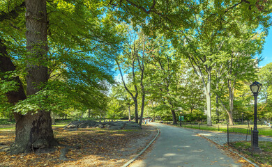 Walkpath in famous Central Park in autumn