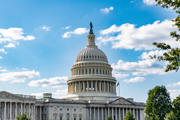 Naklejka premium Capitol building. The Capitol building in Washington. Architecture view on dome with column. Famous Capitol in Washington DC. Washington DC landmark. Senate and House in Washington DC