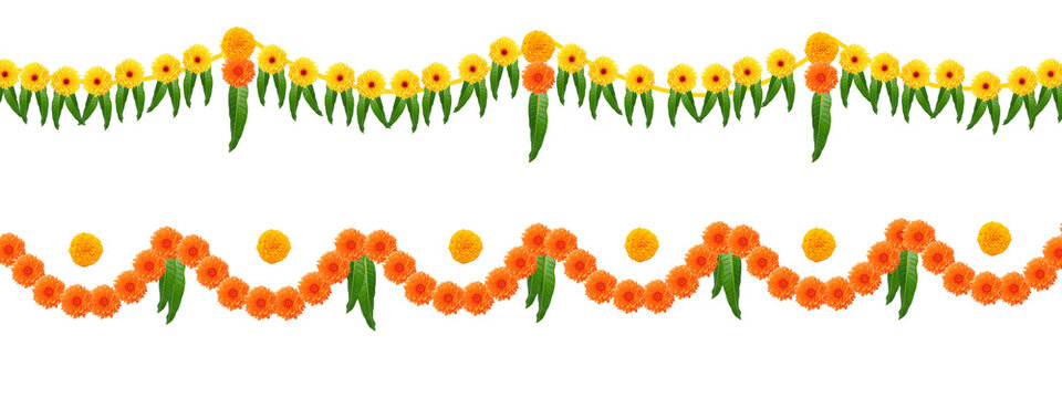  Indian festival thoranam of marigold flowers isolated on transparent background kungumam and mango leaf, hanging in entrance of house, reception, temple, functions, mall.