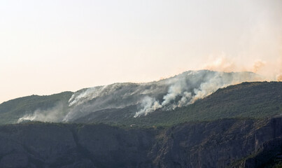 Fototapeta premium Forest fire in the mountain. Smoke from a fire in the outdoors. Countryside forest with fire smoke from wildfire in Albania, Valbona valley, Europe