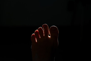 Five Toes in Silhouette