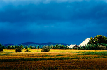 Harvested fields lit by golden sunlight on the harvested crops, with barn roofs refecting the light.