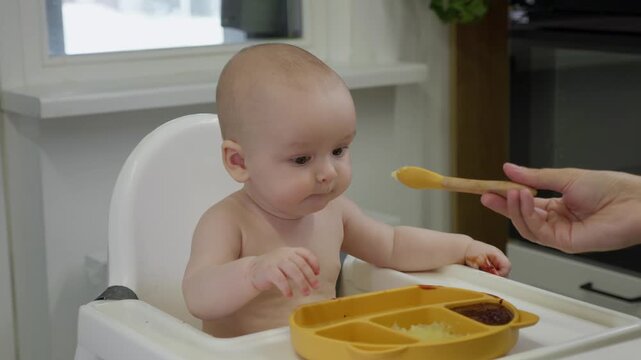 Baby sits in a high chair and happily with appetite eating pureed food with a spoon. Concept of early childhood, feeding time, and introducing solids to infants.