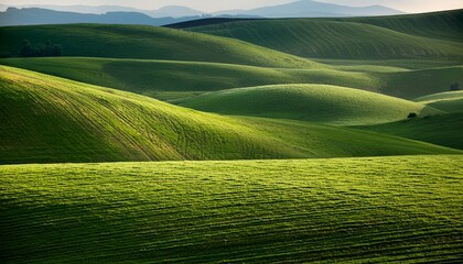 Green Grass Rolling Land Meadow Background Nobody Landscape