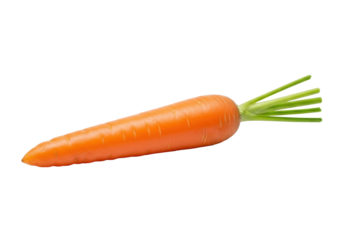 A single, vibrant orange carrot with smooth skin and bright green leafy stems, lying horizontally on an immaculate transparent background with shadowless lighting, macro lens effect, concept for