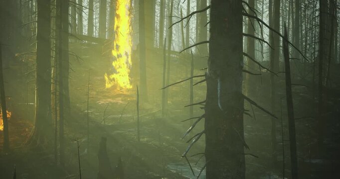 Flames leap from the underbrush, casting an unnatural glow through the dense forest. Shadows dance on charred trees as smoke mingles with the fading daylight, creating an otherworldly atmosphere.