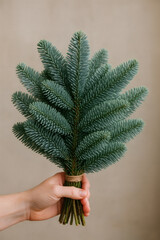 A hand holds a bundled branch of bluish-green fir, tied with twine against a neutral backdrop, bringing a touch of natural freshness.