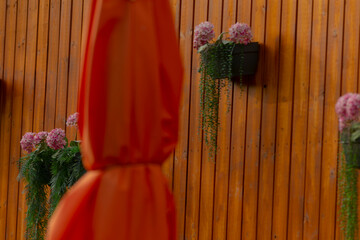 Fototapeta premium Beautiful garden setting, Bright patio decorated with colorful blossoms and shade, Enchanting garden scene showcasing lively gathering area with vibrant flowers and shaded seating arrangements