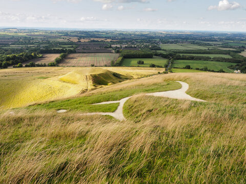 Looking over the head of the Uffington White Horse on the Ridgeway, the oldest chalk hill figure in England dating from the Bronze Age, down to Dragon Hill, a natural outcrop, Oxfordshire, UK