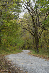 Naklejka premium Winding gravel lane inviting exploration through a tranquil forest beside fields in Illinois, offering a glimpse of nature's serene beauty and the harmony of rural life in the Midwest
