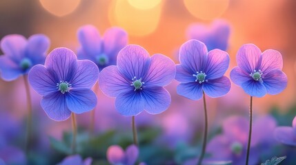 Fototapeta premium A vibrant cluster of purple flowers boasting striking green centers, set against a warm orange-pink backdrop. Perfect for designs requiring color and beauty.