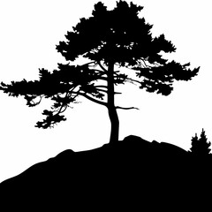 Black Silhouette of Lone Pine Tree on Rocky Hill Isolated on White Background