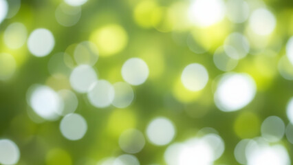 Obraz premium Abstract Green Bokeh: A captivating display of soft focus green and white bokeh, creating a dreamy and ethereal effect.