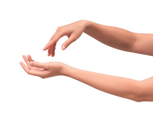 Close-up of beautiful empty hand gesture isolated on a transparent PNG. High quality studio shot.
