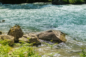 Turquoise river rushes past large mossy rocks and lush green grass in this vibrant natural scene near the Black Sea in Turkey. Ideal for environmental campaigns.