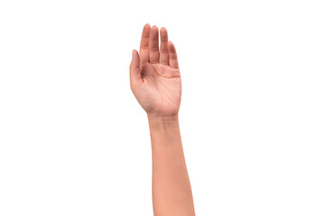 Close-up of a beautiful empty hand gesture isolated on a transparent PNG. High quality studio shot.
