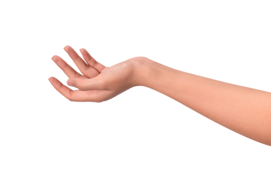 Close-up of a beautiful empty hand gesture isolated on a transparent PNG. High quality studio shot.
 - Powered by Adobe