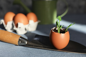 Egg shell with seedling and gardening shovel on grey background