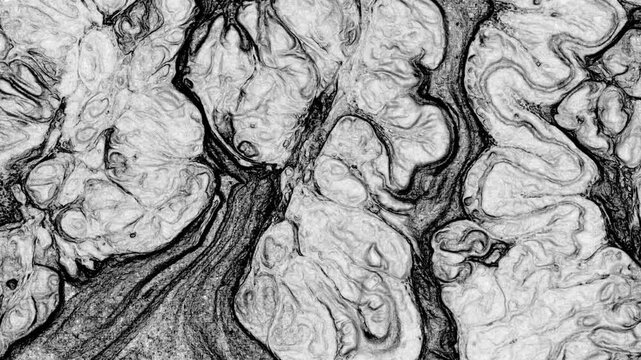 This stock video features an extreme close-up shot of a liquid mixture of clack an paints. It can be a great background for your computer screens. And if you need a compositing element for your motion