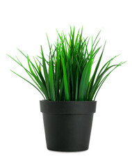 Artificial plant on white background