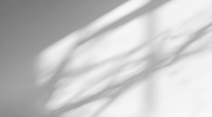 Soft elegant abstract dark wall shadows isolated PNG cutout, transparent background. Artistic aesthetic design element
