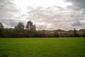 Fototapeta premium landscape of a field in the city with trees on background