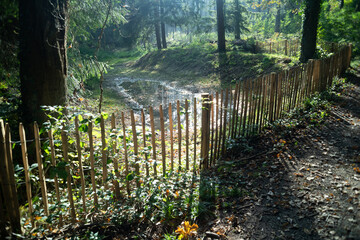 Obraz premium a natural pond with fence