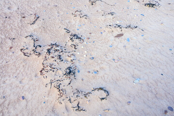 Sandy beach with small pebble rocks in random patterns and little bits of seaweed, as a nature background
