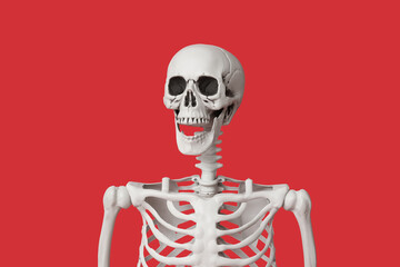 Scary human skeleton on red background