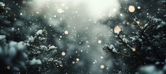 Serene Winter Wonderland Snowflakes Gracefully Fall on Pine Trees, Creating a Magical Landscape