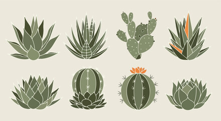 Succulent plants collection in flat style