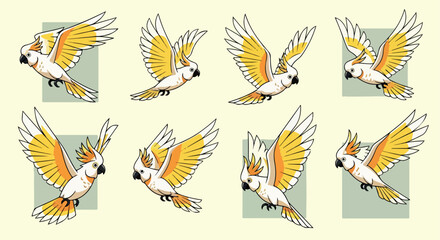 Flying cockatoo parrot in various poses with transparent background © Pandaman1102