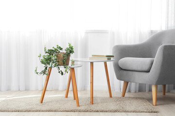 Cozy interior with grey armchair, carpet and plant