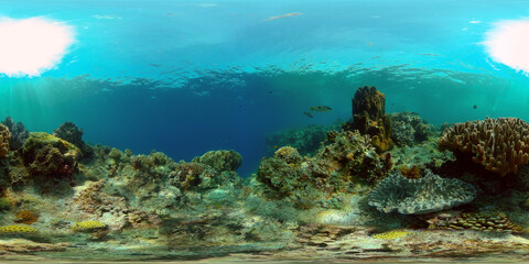 Colourful tropical coral reef. Scene reef. Seascape under water. Philippines. Virtual Reality 360.
