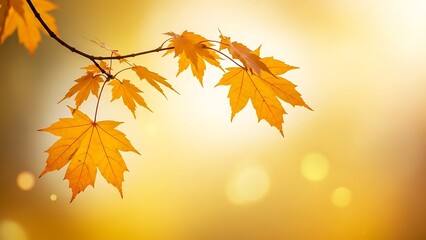 Vibrant autumnal maple leaves glowing warmly against a soft, sun-drenched bokeh background, capturing the serene beauty of the fall season and natural tranquility