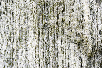 Closeup of weathered rock of a standing stone with vertical lines white, and green, and bits of lichen, as a nature background
