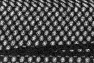 Black and white image of shadows on the ground.